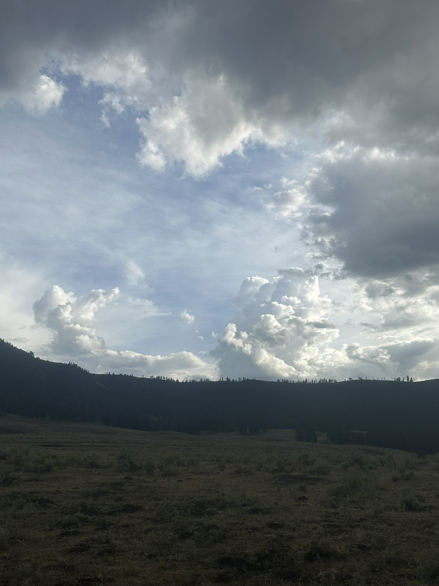 Yellowstone And Grand Teton National Parks - Image 1111
